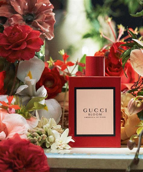 gucci bloom ambrosia di fiori myer|gucci bloom ambrosia di fiori.